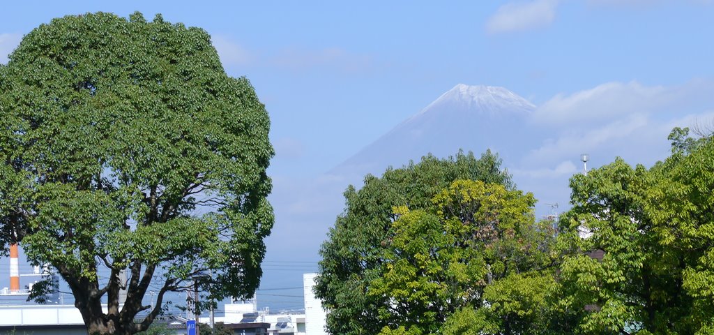 新富士駅北口からの富士山